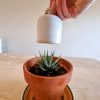 Watering Bell - Image 3