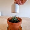 Watering Bell - Image 4